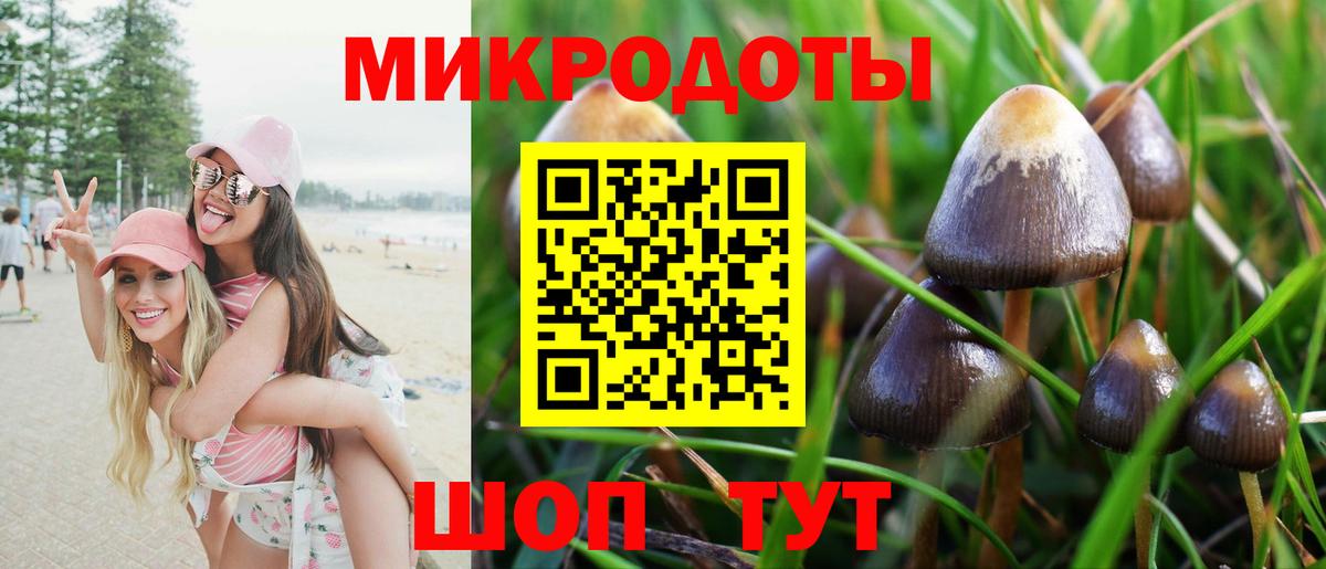 Галлюциногенные грибы GOLDEN TEACHER  Вход с VPN  Северск 