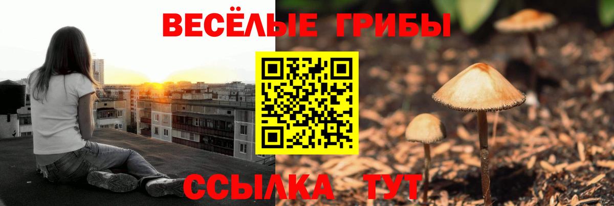 Cocaine Северск
